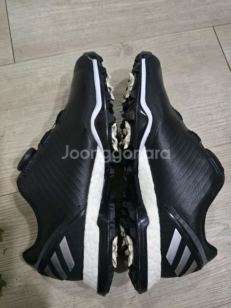 아디다스 골프 포지드 보아골프화 230mm--4