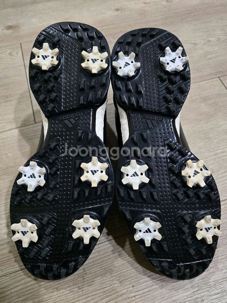 아디다스 골프 포지드 보아골프화 230mm--5