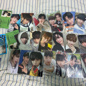 보넥도 보이넥스트도어 명재현 포카 일괄 양도