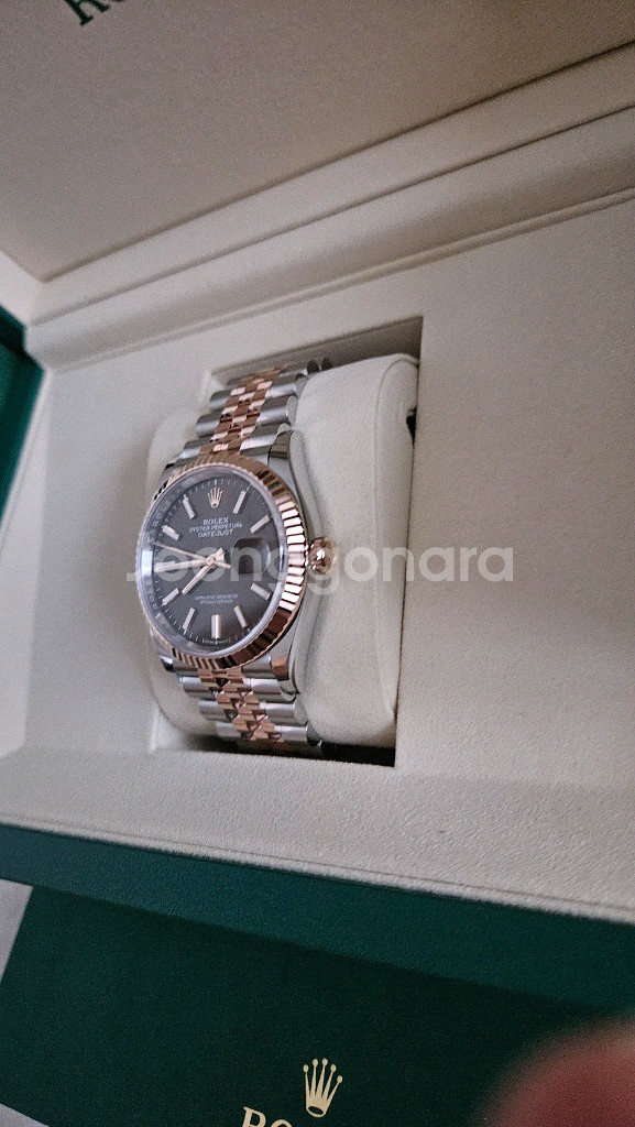 데이저스트 36 플루쥬빌 로골콤비 초코 바인덱스 미사용--4