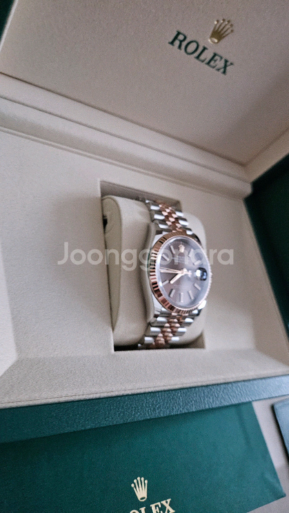 데이저스트 36 플루쥬빌 로골콤비 초코 바인덱스 미사용--3