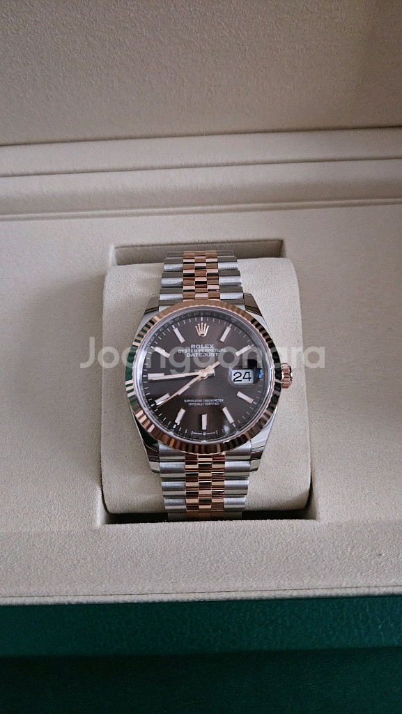 데이저스트 36 플루쥬빌 로골콤비 초코 바인덱스 미사용--2