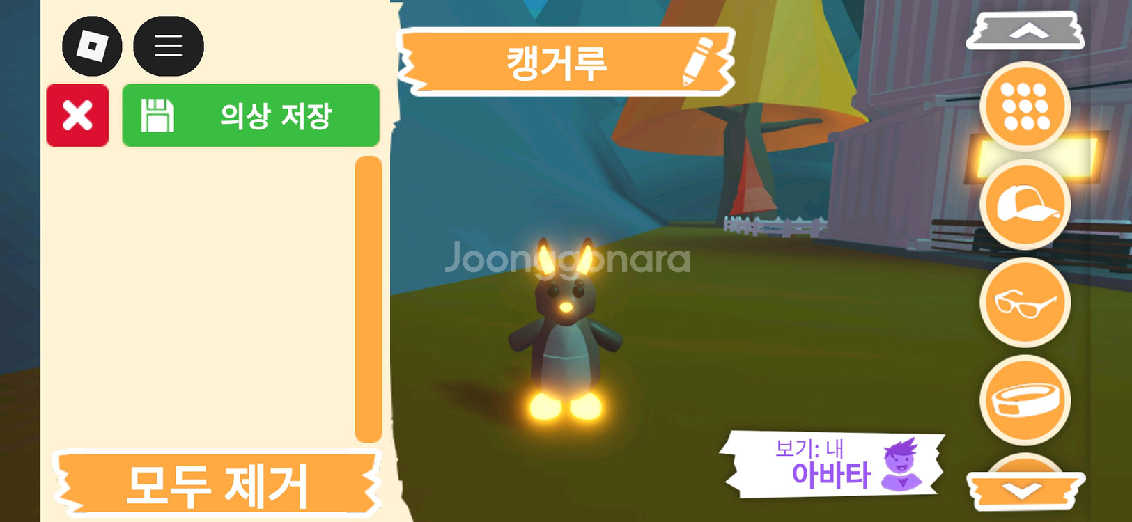 입양하세요 펫 네온 캥거루(네캥) 판매합니다--0