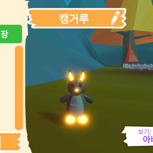 입양하세요 펫 네온 캥거루(네캥) 판매합니다