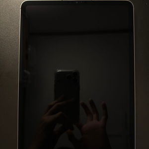 아이패드 프로 11(4세대) M2 셀룰러