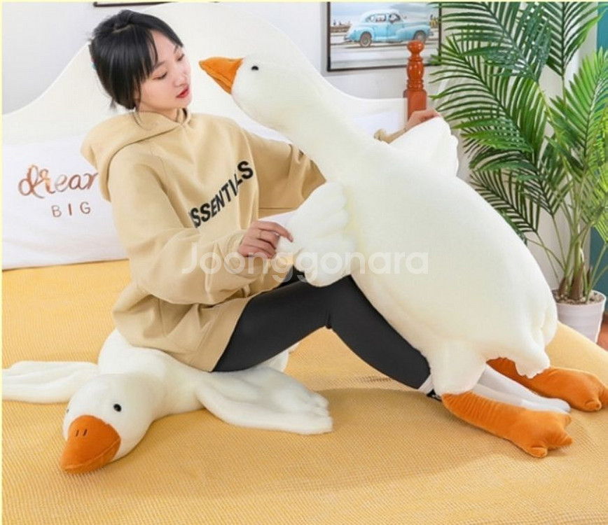 짱정품)보들보들거위쿠션/백팩(겸용)3 봉제인형대형 미개--0