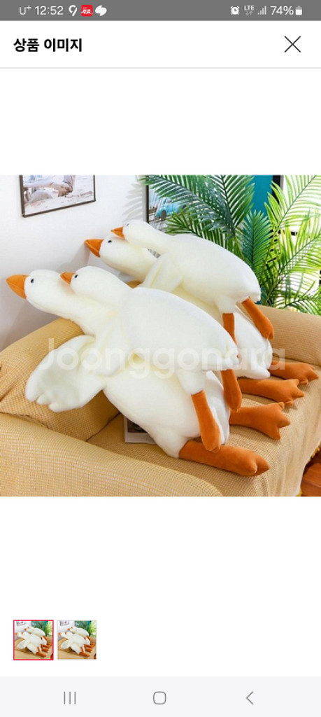 짱정품)보들보들거위쿠션/백팩(겸용)3 봉제인형대형 미개--2