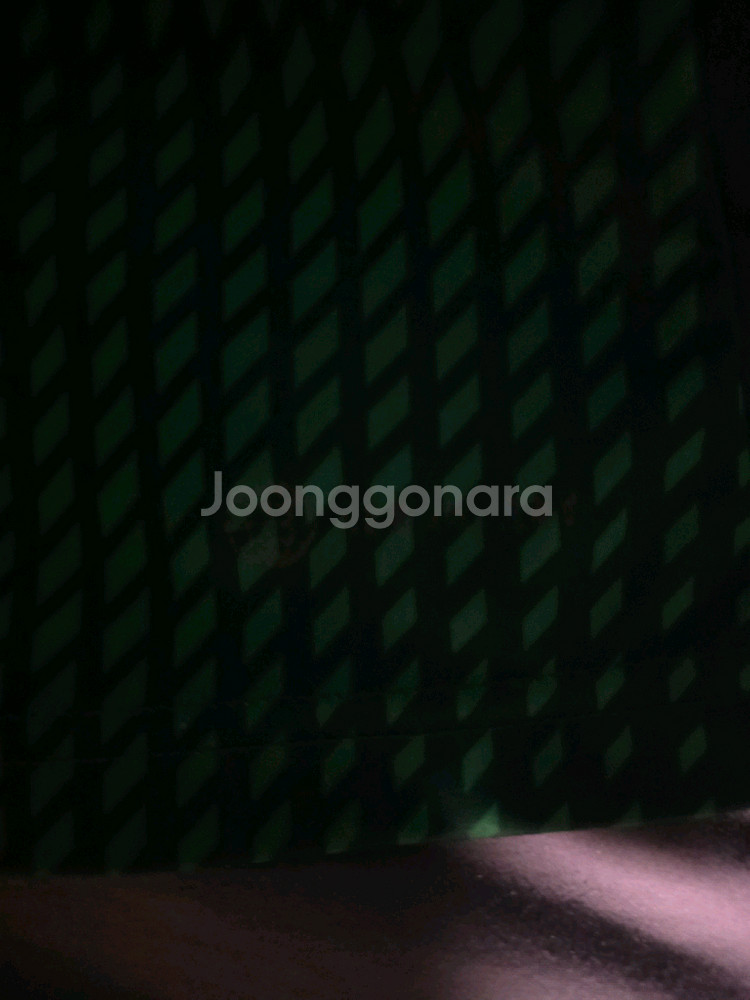 전북현대 23시즌 유니폼 L 송민규 마킹 에닝요 친필사인--2