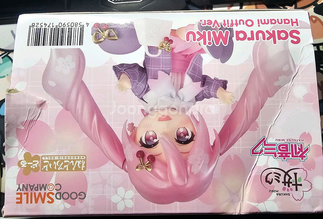 [상자 하자] 넨도로이드 돌 사쿠라 미쿠 꽃놀이 버전--2