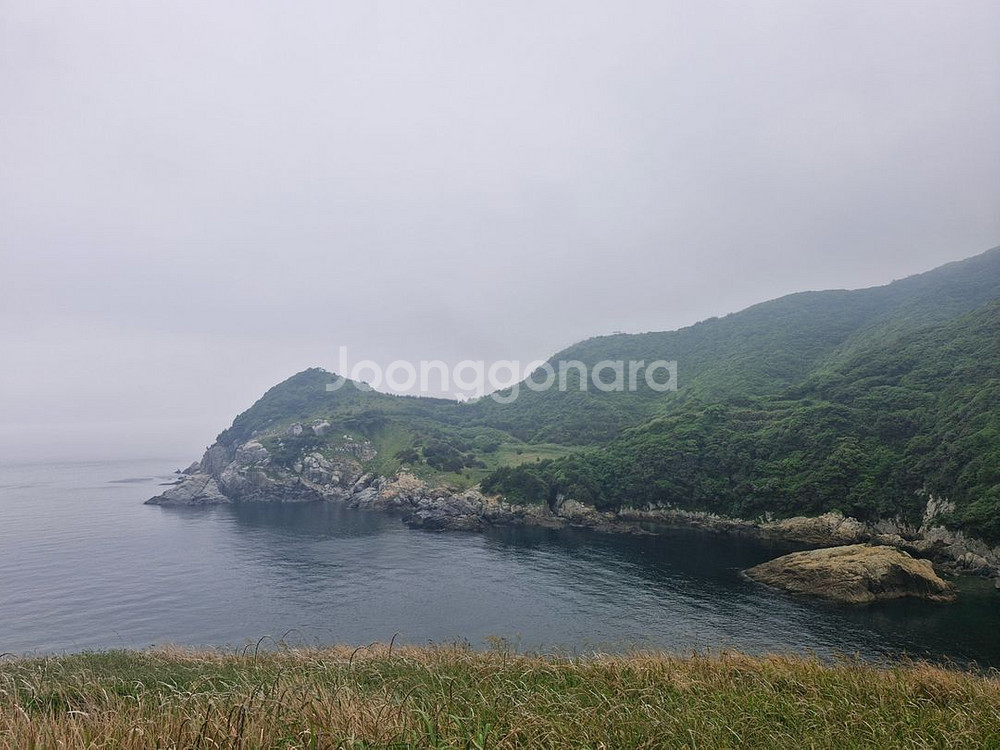 블랙큰168 구매합니다--0