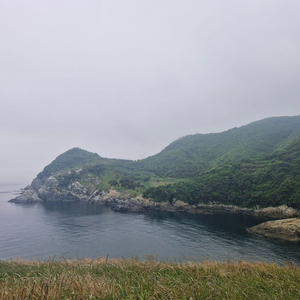 블랙큰168 구매합니다