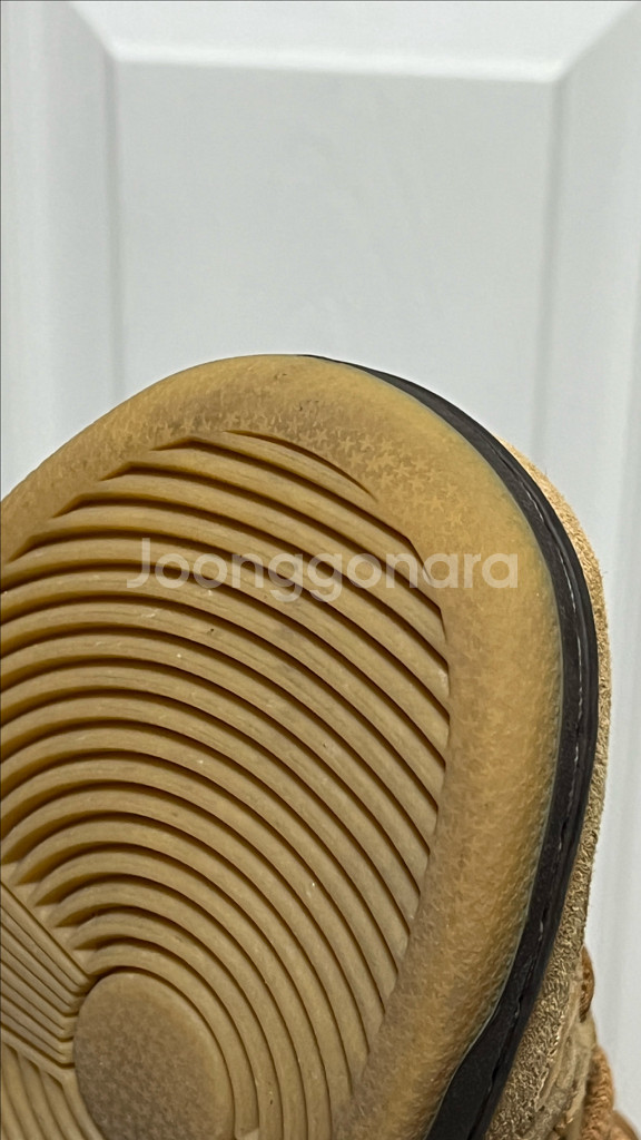 나이키 SB 덩크 로우 프로 위트 2023--8