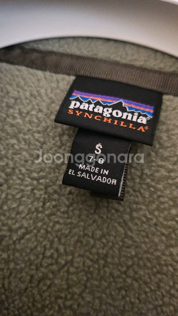 파타고니아--2