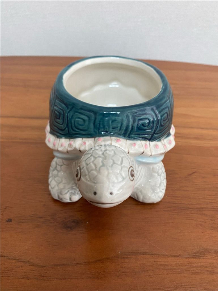 캐스키드슨 거북이 악세사리함--0