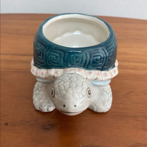 캐스키드슨 거북이 악세사리함