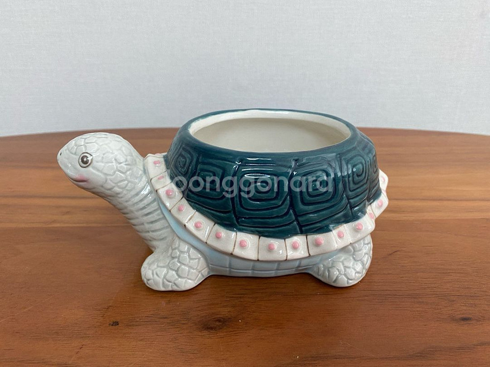 캐스키드슨 거북이 악세사리함--1