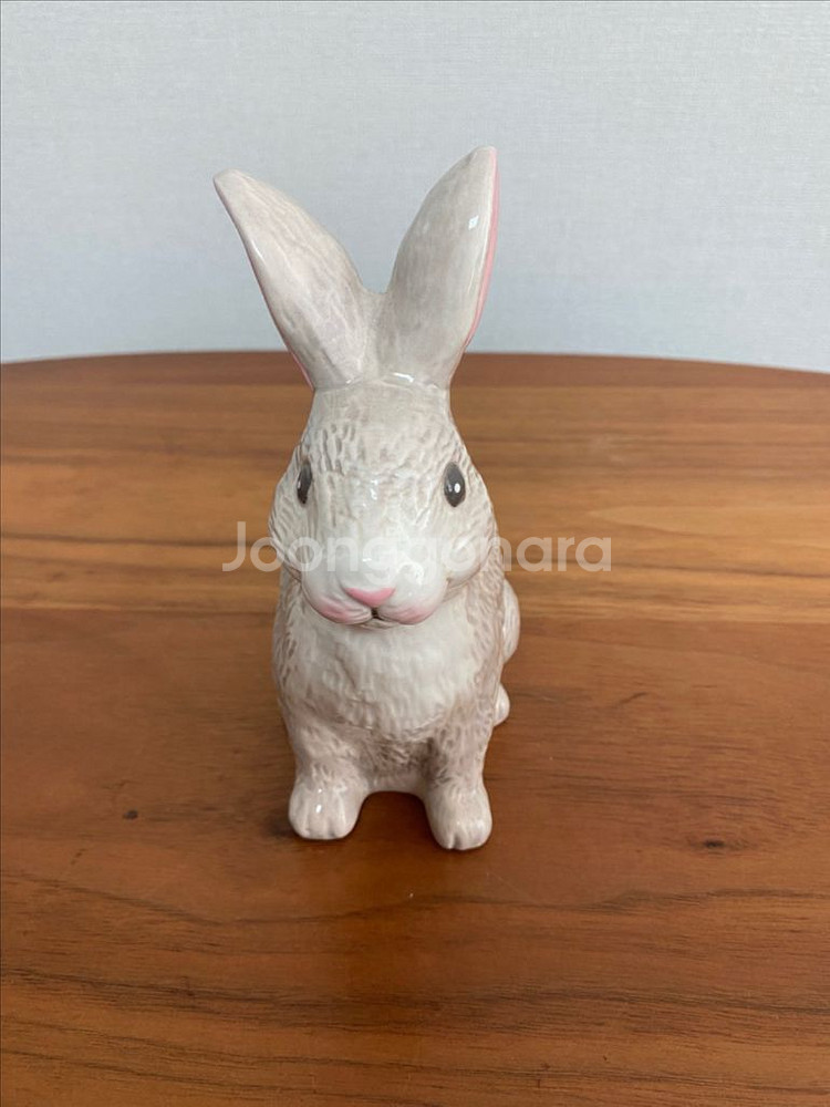 캐스키드슨 토끼 케이스--0