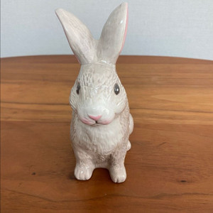 캐스키드슨 토끼 케이스