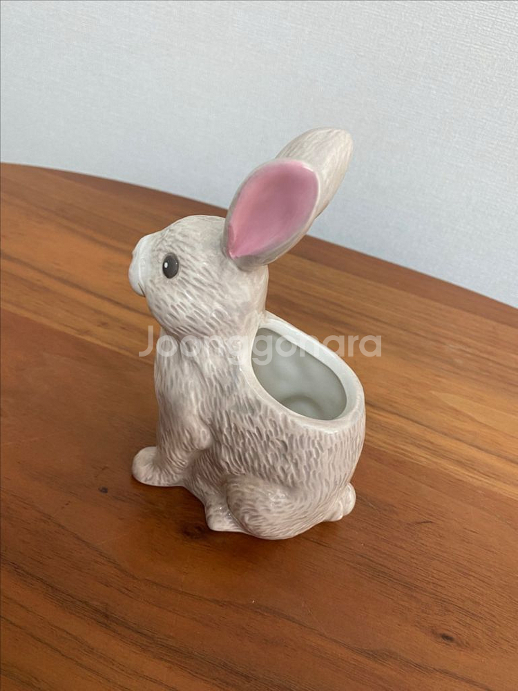 캐스키드슨 토끼 케이스--1