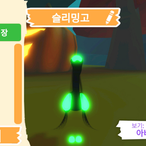 입양하세요 펫 메가네온 슬리밍고 판매합니다