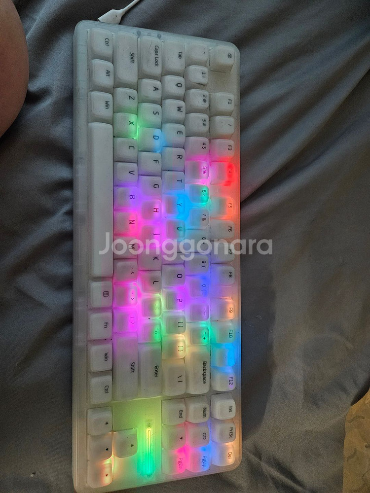 독거미 l67 키보드팔으요--1