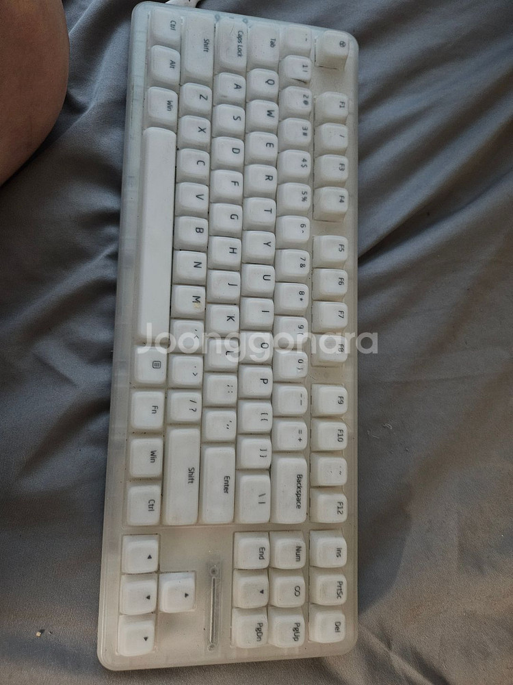 독거미 l67 키보드팔으요--0