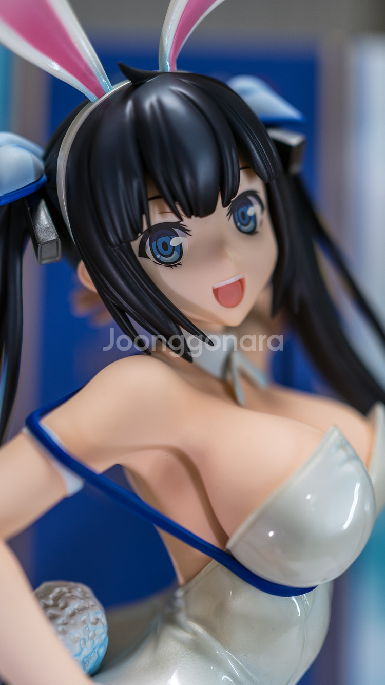 프링/던만추/헤스티아 바니ver--0