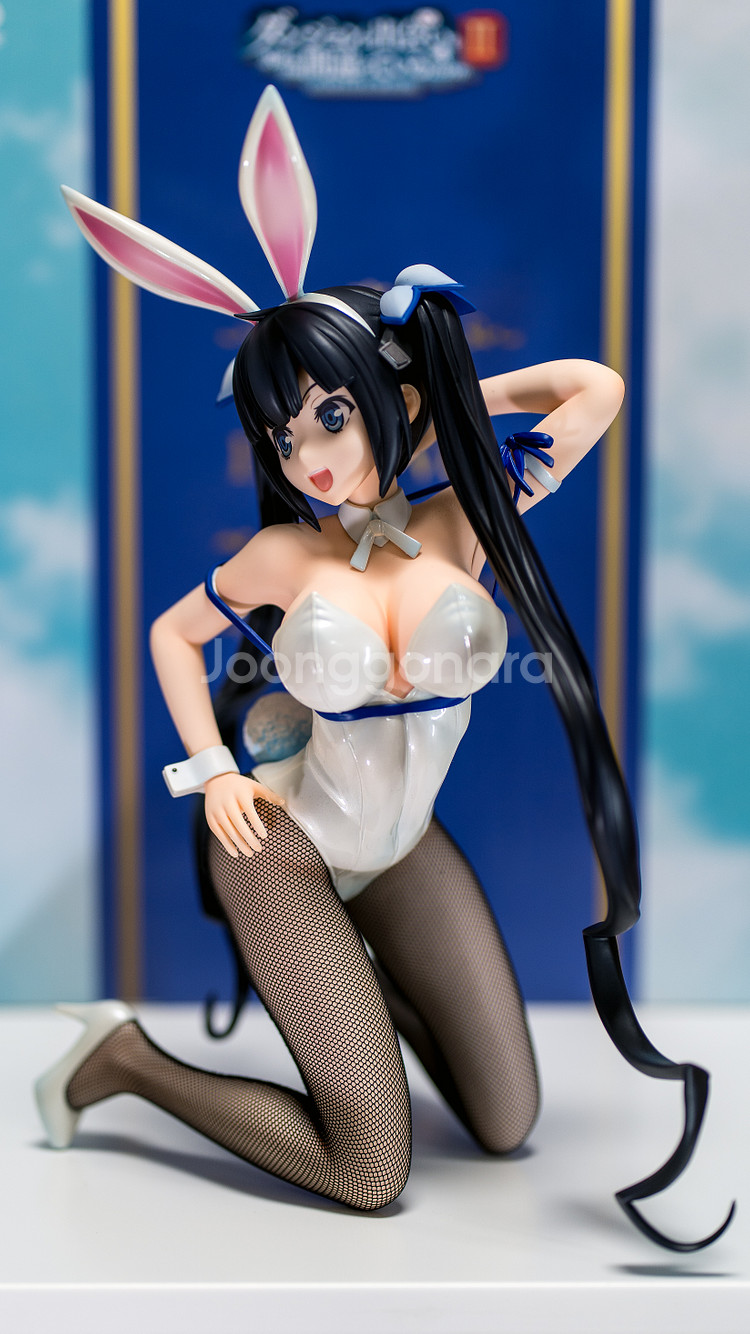 프링/던만추/헤스티아 바니ver--2