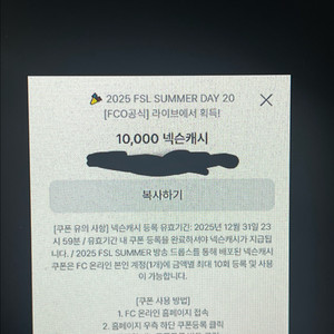 넥슨캐시 10000원