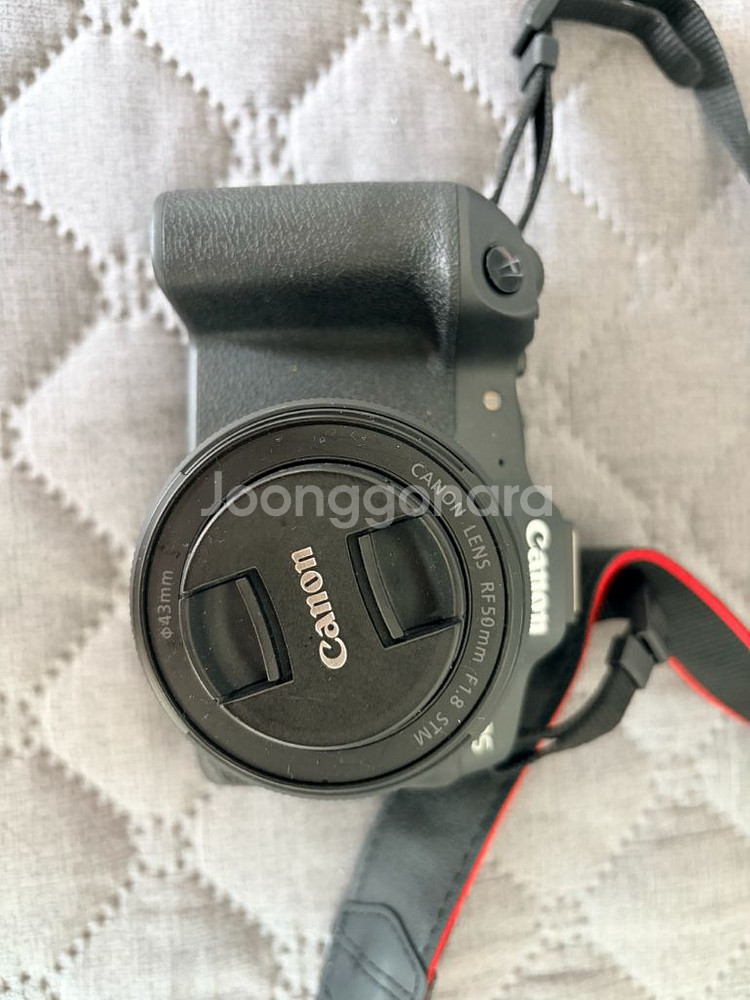 캐논 EOS R8 + rf 50렌즈--2