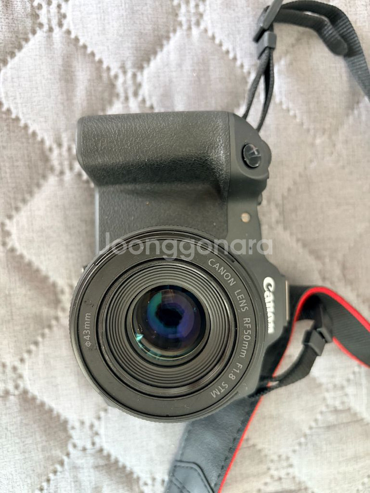 캐논 EOS R8 + rf 50렌즈--3