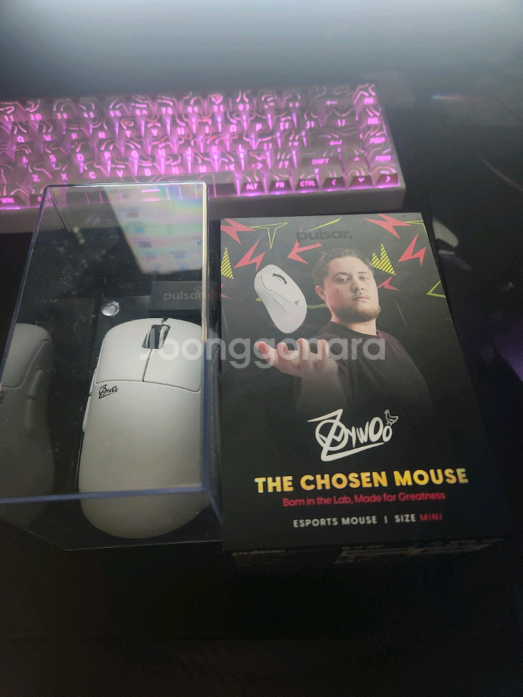 펄사 자이우 미니 마우스--1