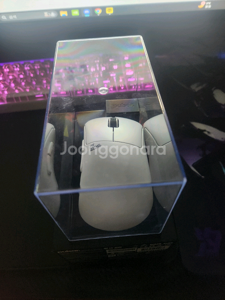 펄사 자이우 미니 마우스--0