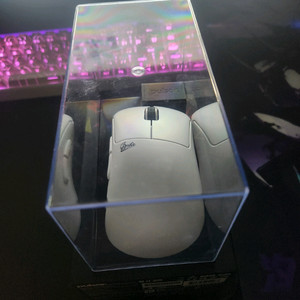 펄사 자이우 미니 마우스