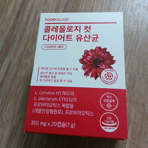 콜 레 올로 지컷 다이 어 트 유 산 균