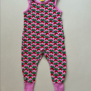 던스 베고니아핑크 덩가리80