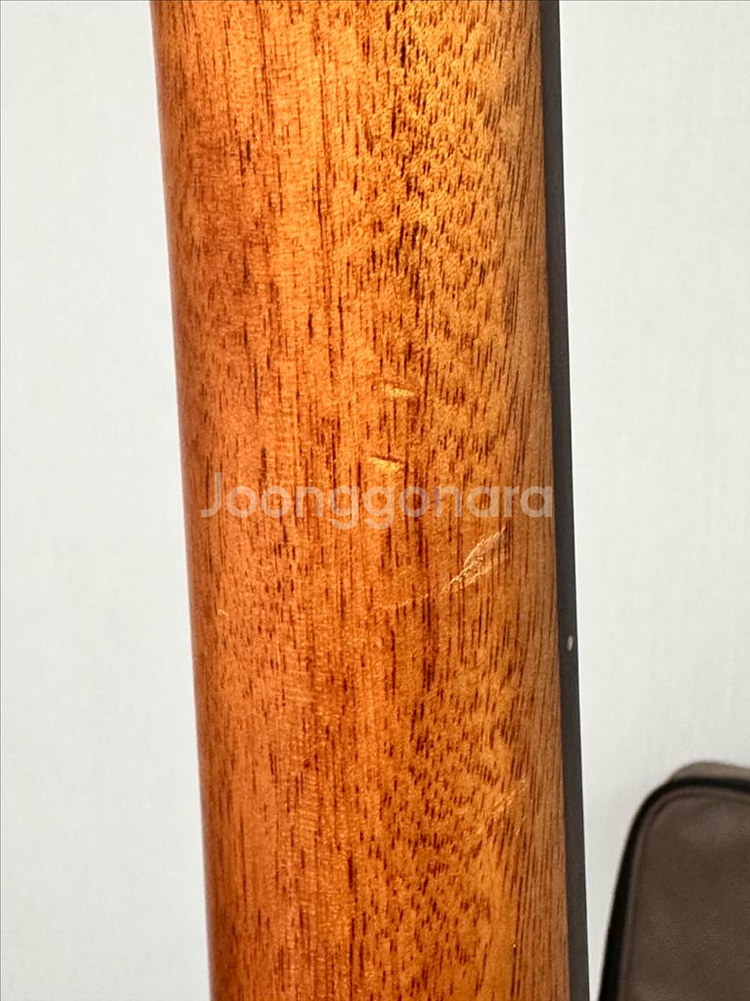 고퍼우드 i365rc 어쿠스틱 기타--1