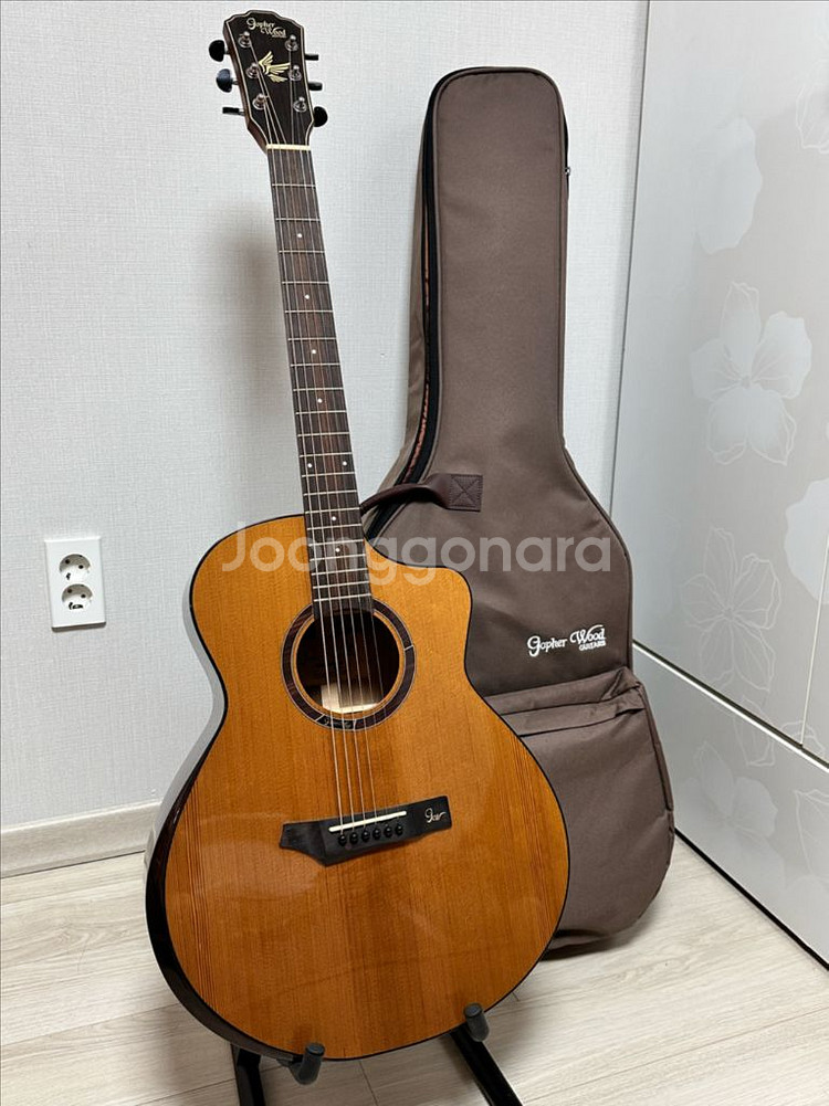 고퍼우드 i365rc 어쿠스틱 기타--0