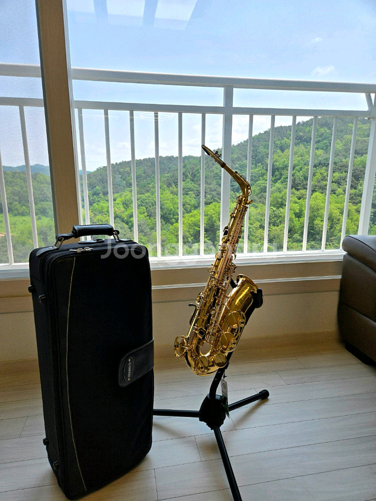 예쁘고영롱깨끗 고급울림음색 조율길들인 연주편한 야마하62알토색소폰--7