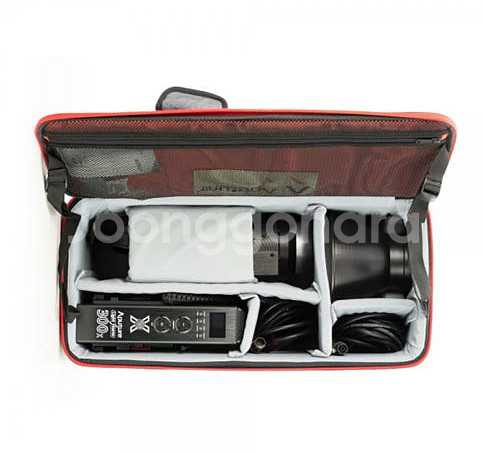 어퓨쳐300X Aputure Light--4