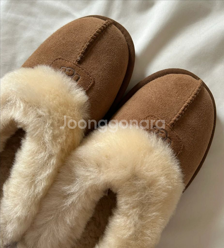 미국 어그 코케트 US8--0