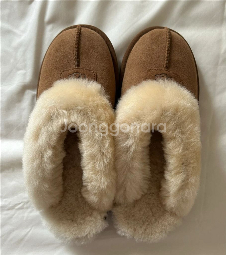 미국 어그 코케트 US8--1