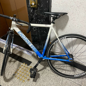 엔진11 볼텍스 화이트