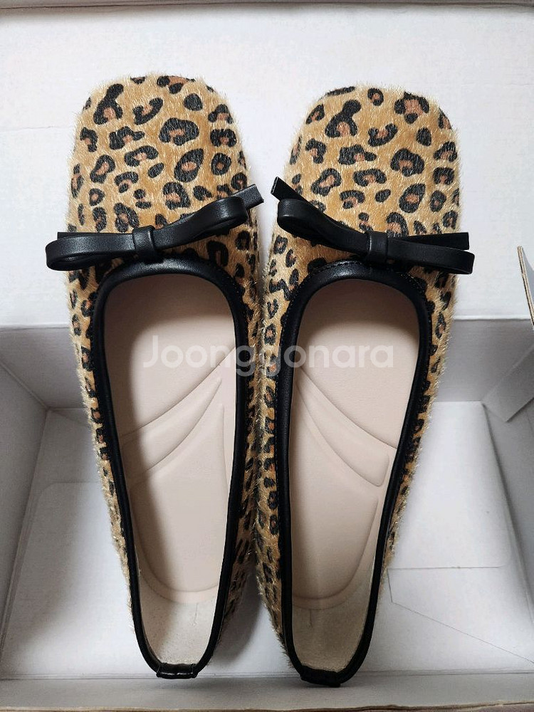 어페리피트 스퀘어플랫--0