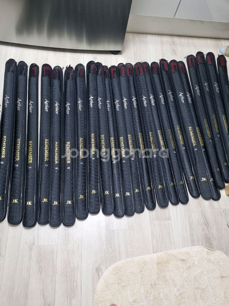 아이테르 리멤버--0