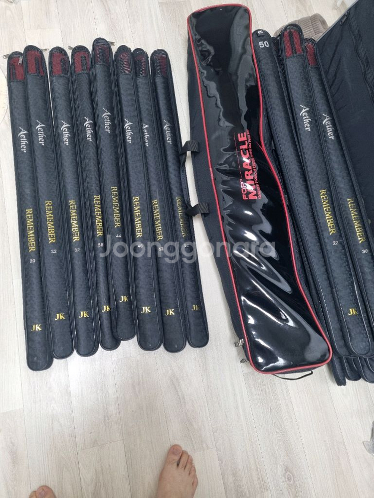 아이테르 리멤버--1