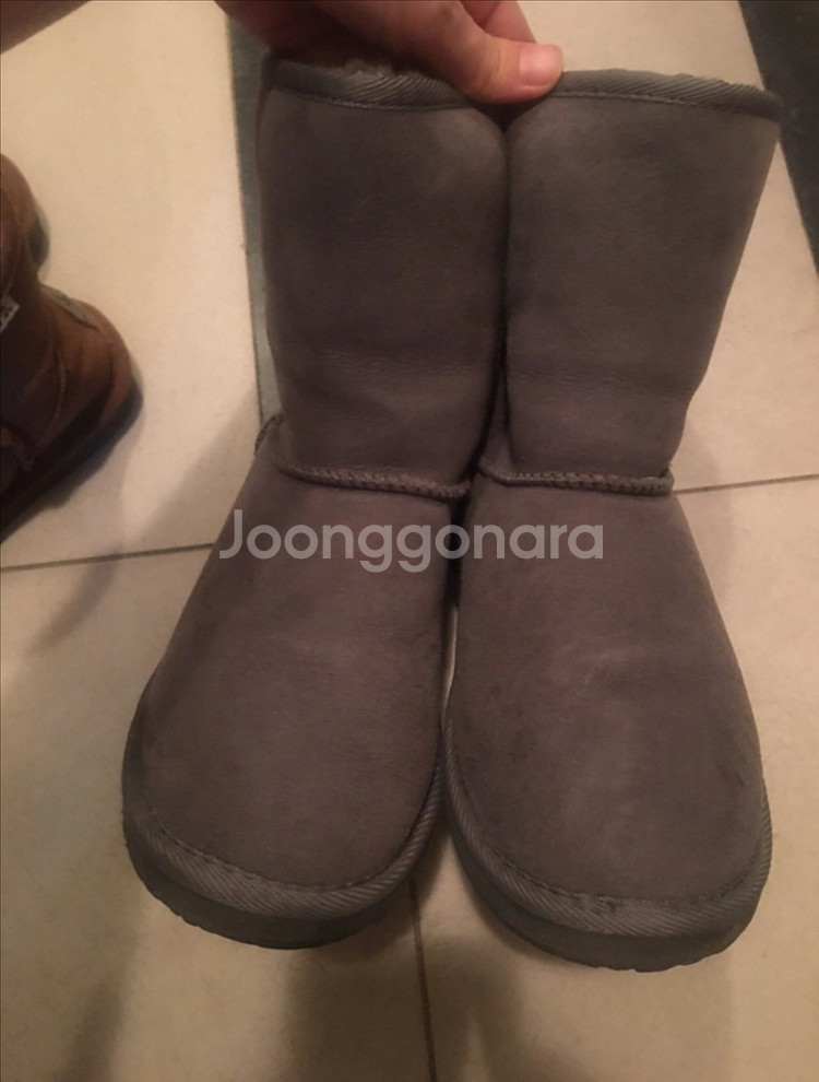 일본 어그 그레이--1