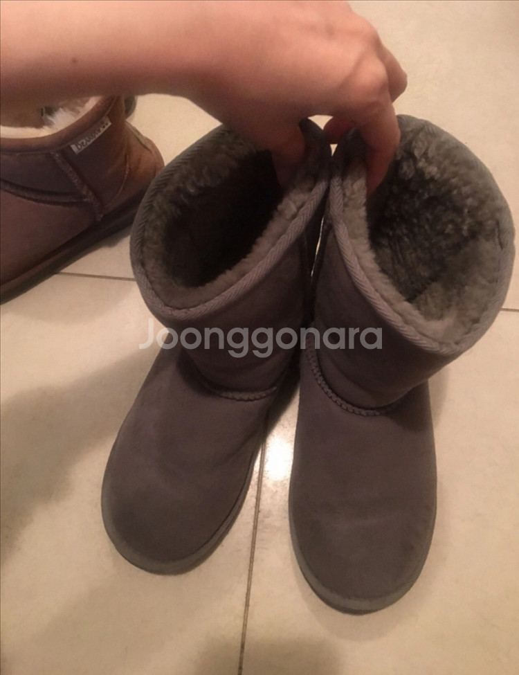 일본 어그 그레이--3