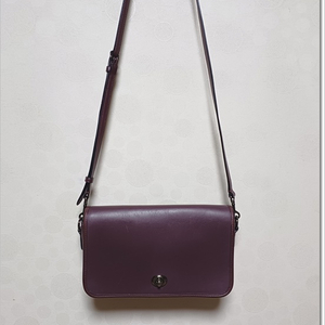 코치 미니 딩키백 크로스백