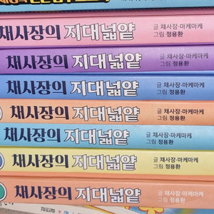 채사장의 지대넓얕 일곱권